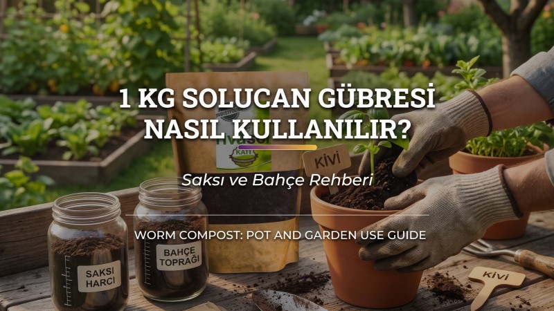 1 Kg Solucan Gübresi Nasıl Kullanılır? Saksı ve Bahçe Rehberi