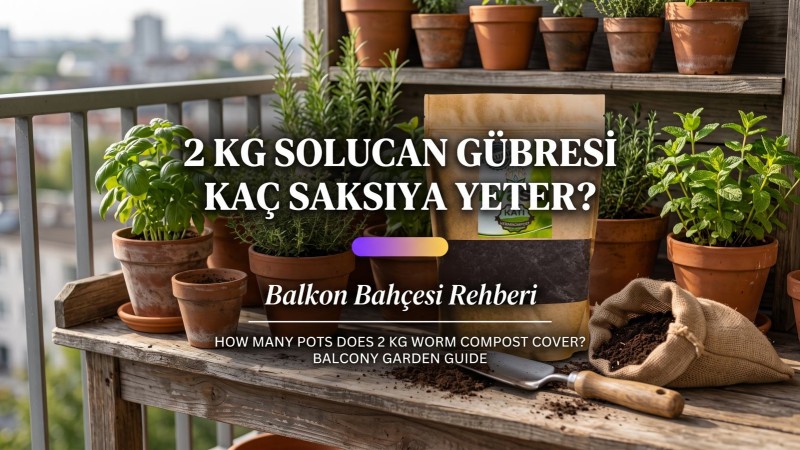 2 Kg Solucan Gübresi Kaç Saksıya Yeter? Balkon Bahçesi Rehberi