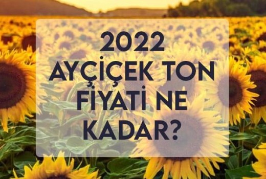 2022 Ayçiçek Ton Fiyatı Ne Kadar? Ayçiçek Alım Fiyatı ?