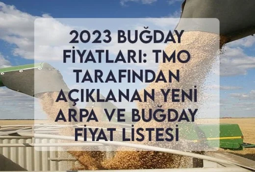 2023 Buğday Fiyatları: TMO Tarafından Açıklanan Yeni Arpa ve Buğday Fiyat Listesi