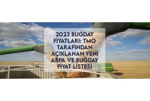 2023 Buğday Fiyatları: TMO Tarafından Açıklanan Yeni Arpa ve Buğday Fiyat Listesi