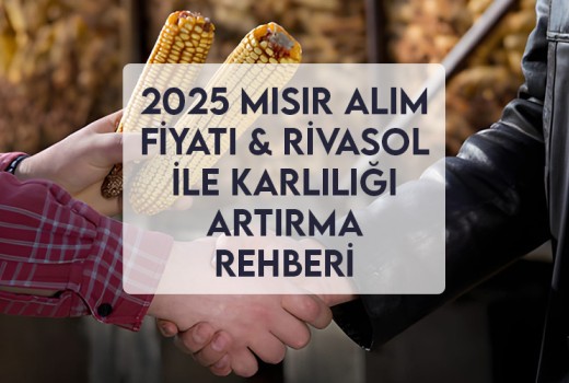 2025 Mısır Alım Fiyatı & Rivasol ile Karlılığı Artırma Rehberi