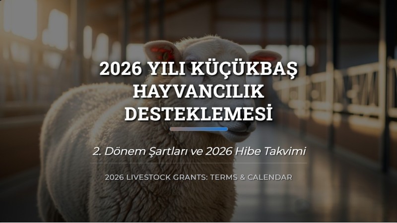 2026 Küçükbaş Hayvancılık Desteklemesi 2. Dönem Başvuru Rehberi (2026 Takvimi)