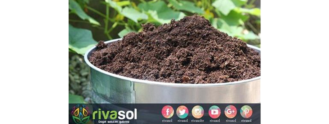 Vermikompostun Tarımda Kullanım Olanakları | Rivasol Vermikompostun Tarımda Kullanım Olanakları | Rivasol