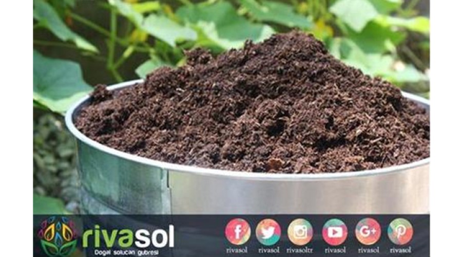 Vermikompostun Tarımda Kullanım Olanakları | Rivasol