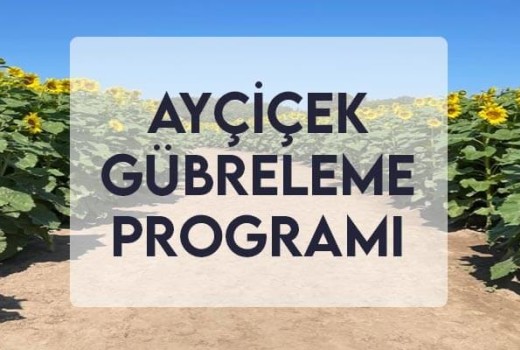 Ayçiçek Gübreleme Programı