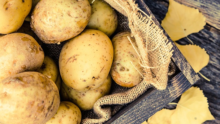 Azotlu Gübre ve Solucan Humusunun Patates Yumrusunda (Agria CV.) Vej Azotlu Gübre ve Solucan Humusunun Patates Yumrusunda (Agria CV.) Vej