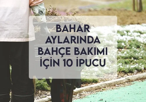Bahar Aylarında Bahçe Bakımı İçin 10 İpucu