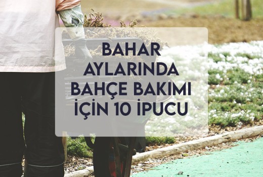 Bahar Aylarında Bahçe Bakımı İçin 10 İpucu