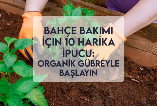 Bahçe Bakımı İçin 10 Harika İpucu: Organik Gübreyle Başlayın