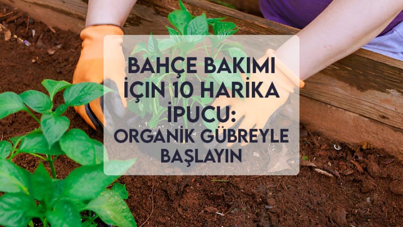 Bahçe Bakımı İçin 10 Harika İpucu: Organik Gübreyle Başlayın Bahçe Bakımı İçin 10 Harika İpucu: Organik Gübreyle Başlayın