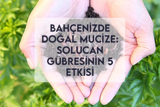 Bahçenizde Doğal Mucize: Solucan Gübresinin 5 Etkisi