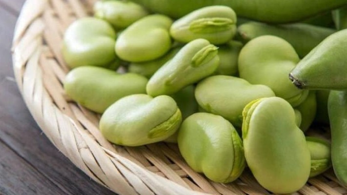 Bakla Solucan Gübresi Nasıl Kullanılır?
