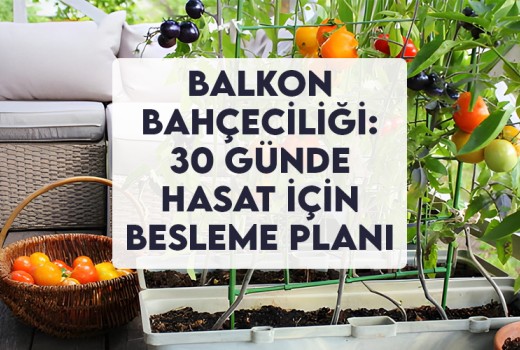 Balkon Bahçeciliği: 30 Günde Hasat İçin Besleme Planı