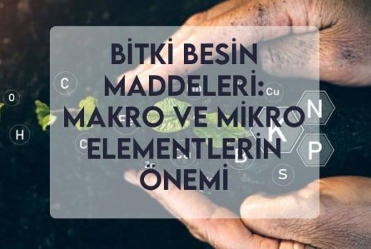 Bitki Besin Maddeleri: Makro ve Mikro Elementlerin Önemi