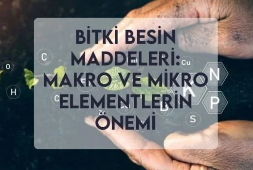 Bitki Besin Maddeleri: Makro ve Mikro Elementlerin Önemi