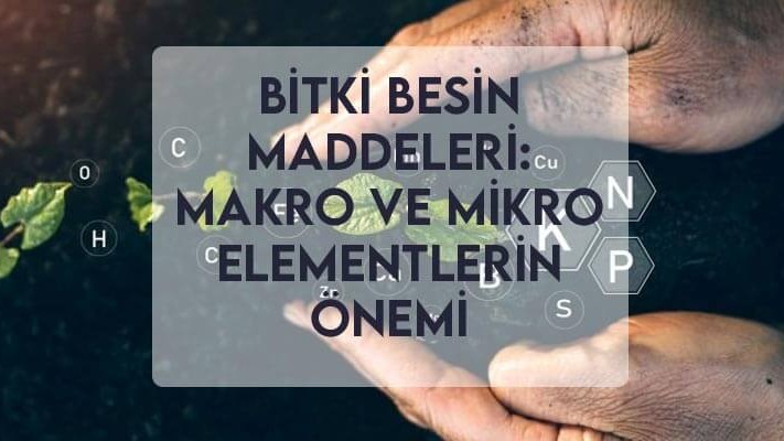 Bitki Besin Maddeleri: Makro ve Mikro Elementlerin Önemi Bitki Besin Maddeleri: Makro ve Mikro Elementlerin Önemi