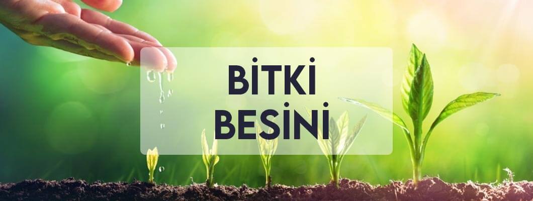 Bitki Besini Bitki Besini