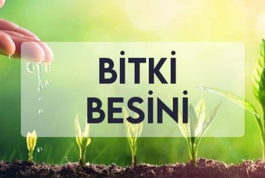Bitki Besini