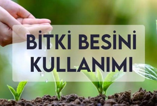 Bitki Besini Kullanımı