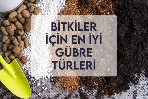 Bitkiler İçin En İyi Gübre Türleri