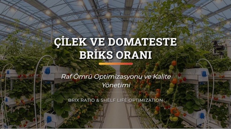 Çilek ve Domateste Briks Oranı ve Raf Ömrü Optimizasyonu