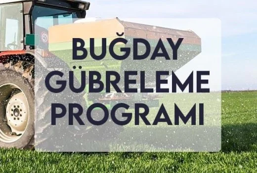 Buğday Gübreleme Programı