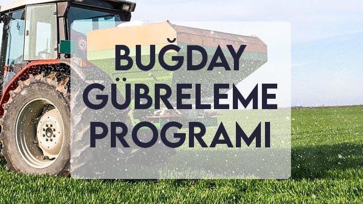 Buğday Gübreleme Programı Buğday Gübreleme Programı