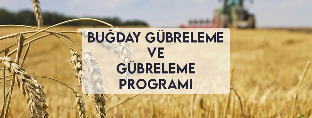 Buğday Gübreleme ve Gübreleme Programı Buğday Gübreleme ve Gübreleme Programı