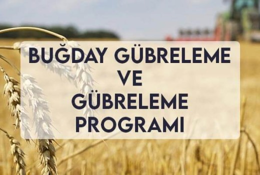 Buğday Gübreleme ve Gübreleme Programı