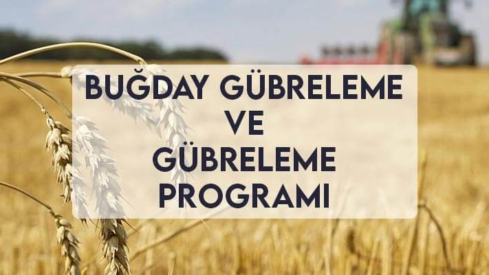 Buğday Gübreleme ve Gübreleme Programı Buğday Gübreleme ve Gübreleme Programı