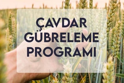 Çavdar Gübreleme Programı