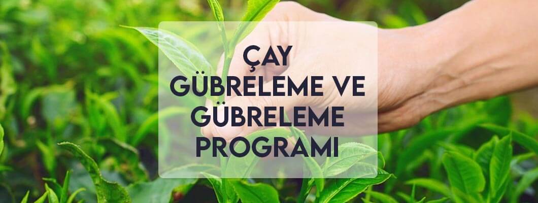 Çay Gübreleme ve Gübreleme Programı Çay Gübreleme ve Gübreleme Programı