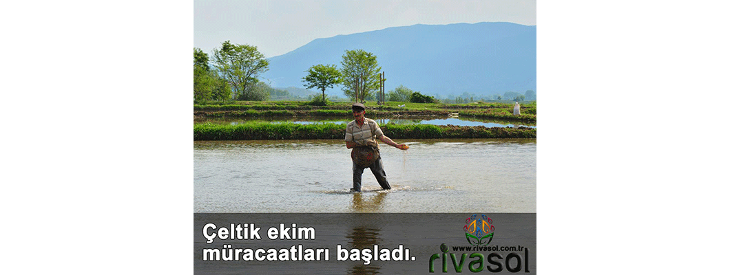2020 Yılı Çeltik Ekim Müracaatları Başladı | Rivasol 2020 Yılı Çeltik Ekim Müracaatları Başladı | Rivasol