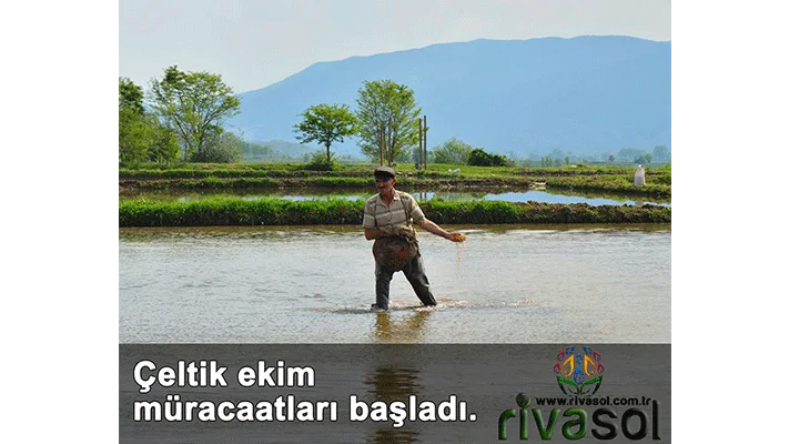 2020 Yılı Çeltik Ekim Müracaatları Başladı