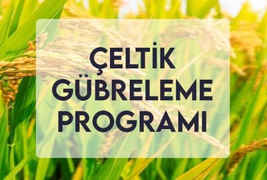 Çeltik Gübreleme Programı