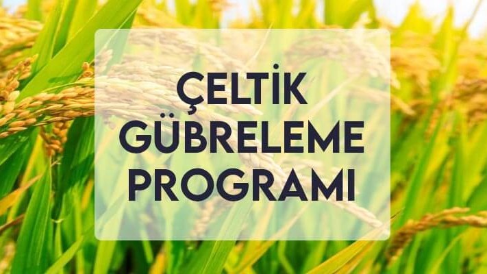 Çeltik Gübreleme Programı Çeltik Gübreleme Programı
