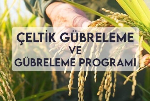Çeltik Gübreleme ve Gübreleme Programı