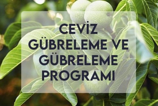 Ceviz Gübreleme ve Gübreleme Programı