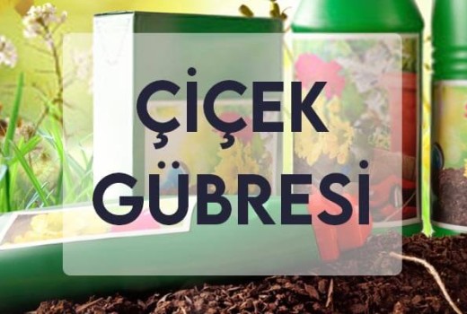 Çiçek Gübresi