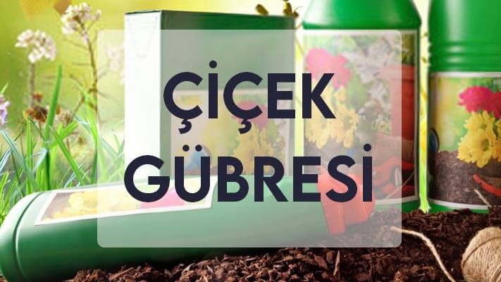 Çiçek Gübresi Çiçek Gübresi
