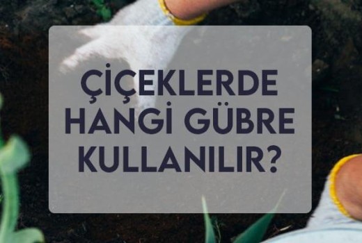 Çiçeklerde Hangi Gübre Kullanılır?