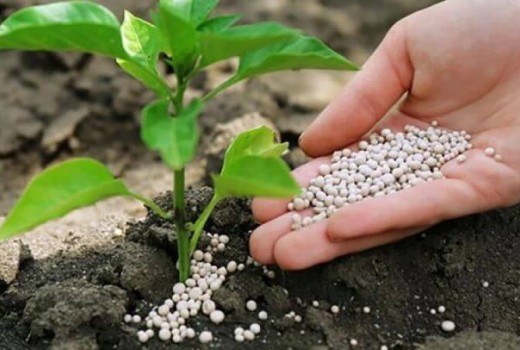 Çiftçiye Koronavirüs Değil Kimyasal Gübre Darbesi