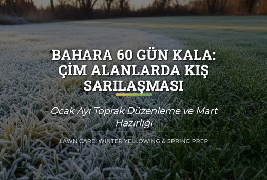 Çimlerde Kış Sarılaşması ve Ocak Ayı Bakımı: Bahara Hazırlık