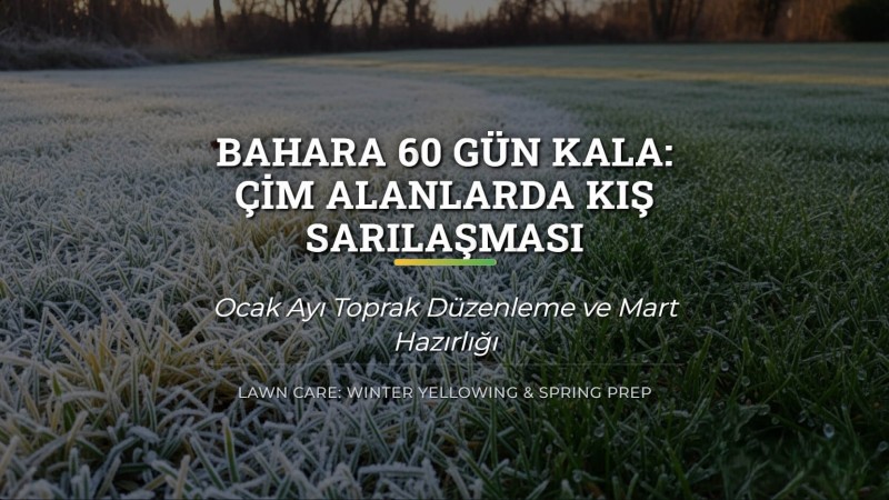 Çimlerde Kış Sarılaşması ve Ocak Ayı Bakımı: Bahara Hazırlık