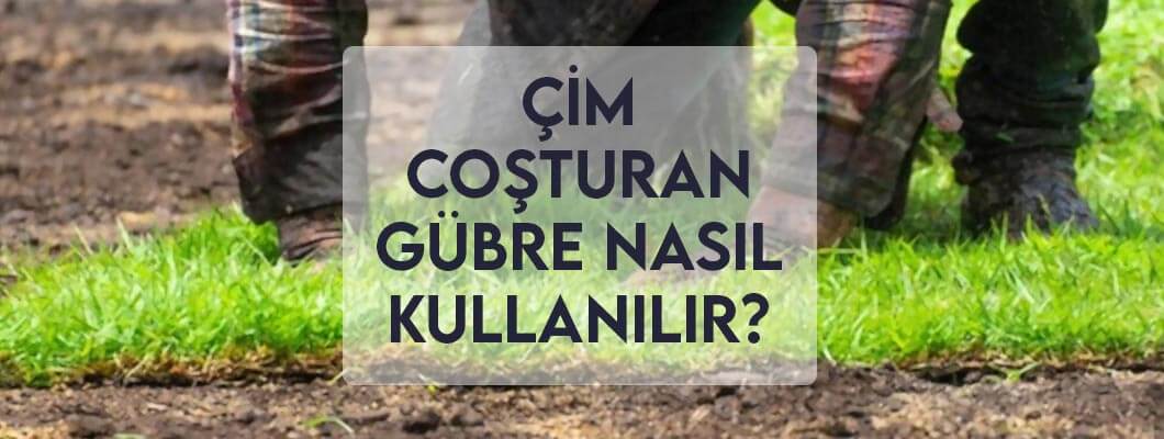 Çim Coşturan Gübre Nasıl Kullanılır? Çim Coşturan Gübre Nasıl Kullanılır?