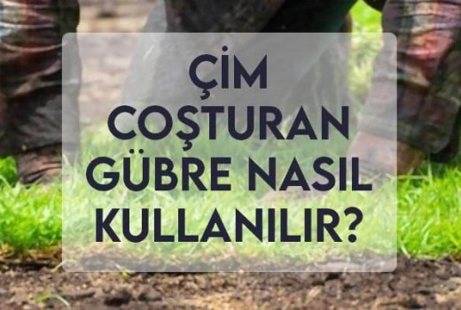 Çim Coşturan Gübre Nasıl Kullanılır?