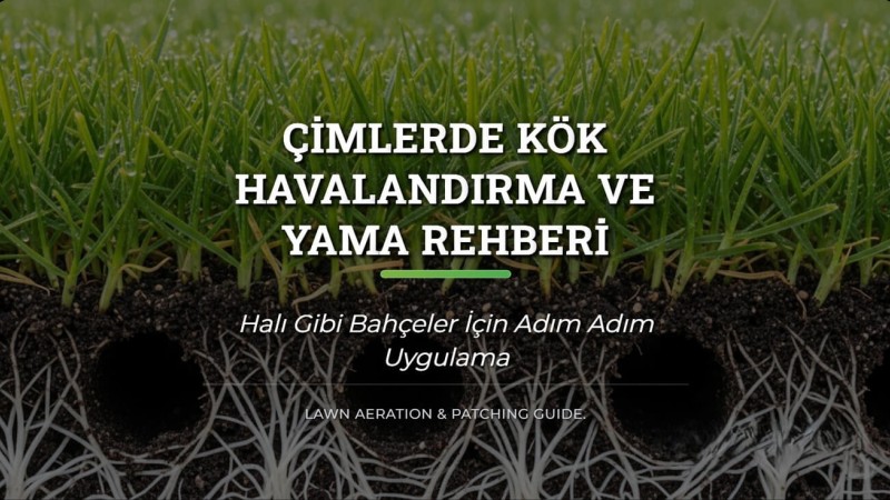 Çimlerde Kök Havalandırma ve Yama Rehberi: Halı Gibi Bahçeler