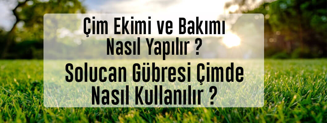Çimde Solucan Gübresi Nasıl Kullanılır? Bakımı Nasıl Yapılır? Çimde Solucan Gübresi Nasıl Kullanılır? Bakımı Nasıl Yapılır?