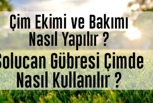 Çimde Solucan Gübresi Nasıl Kullanılır? Bakımı Nasıl Yapılır?